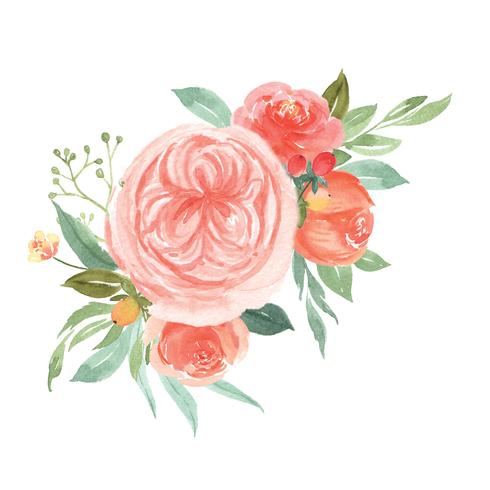 Aquarel florals handgeschilderde boeketten weelderige bloemen llustration vintage stijl vector