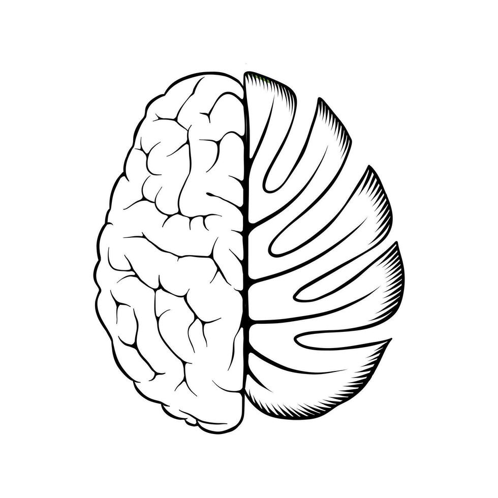 zwart en wit illustratie van hersenen gecombineerd met bladeren vector