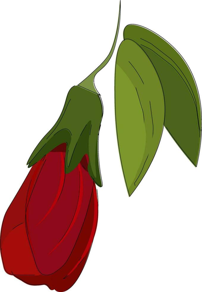 mooie bloem illustratie vector