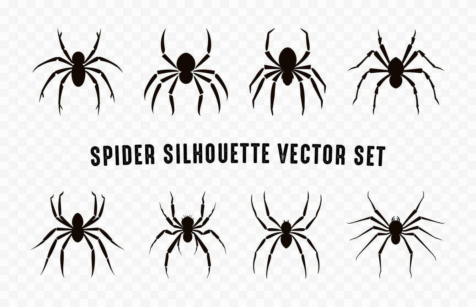 spin silhouetten vector set, spinnen zwart silhouet bundel