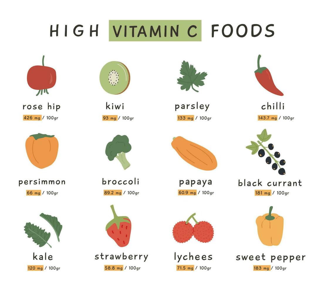 hoog vitamine c voedsel bronnen voor gezond eetpatroon. een informatie kaart met hoogste vitamines c groenten en vruchten. diëtisch biologisch voeding. vector illustratie reeks in vlak stijl Aan wit achtergrond.