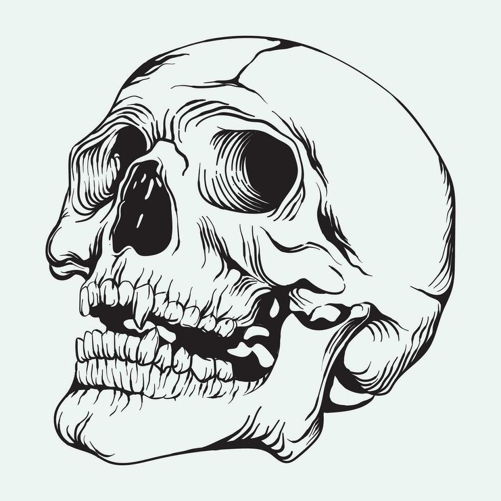 hand- getrokken schedel kunst vector illustratie lijn kunst van schedel van menselijk