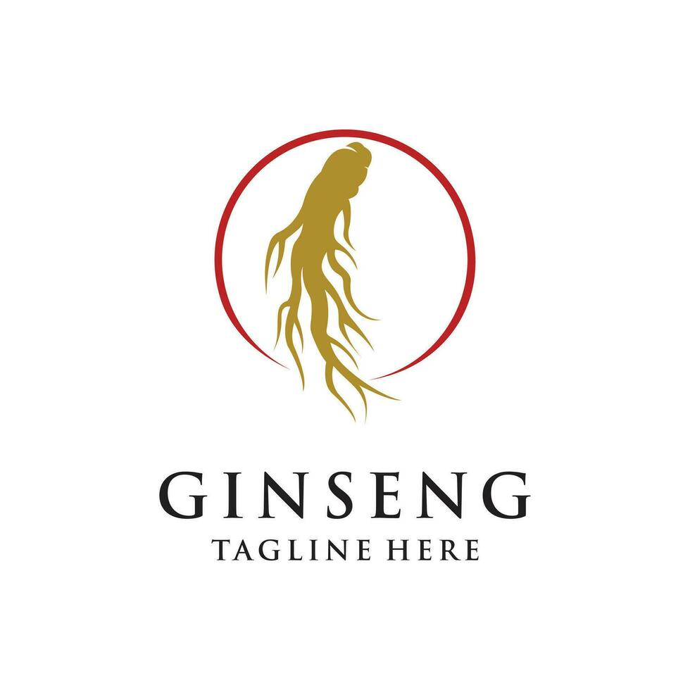 vector ginseng logo kruiden fabriek vector natuurlijk kruiden geneeskunde ginseng kruiden drinken icoon