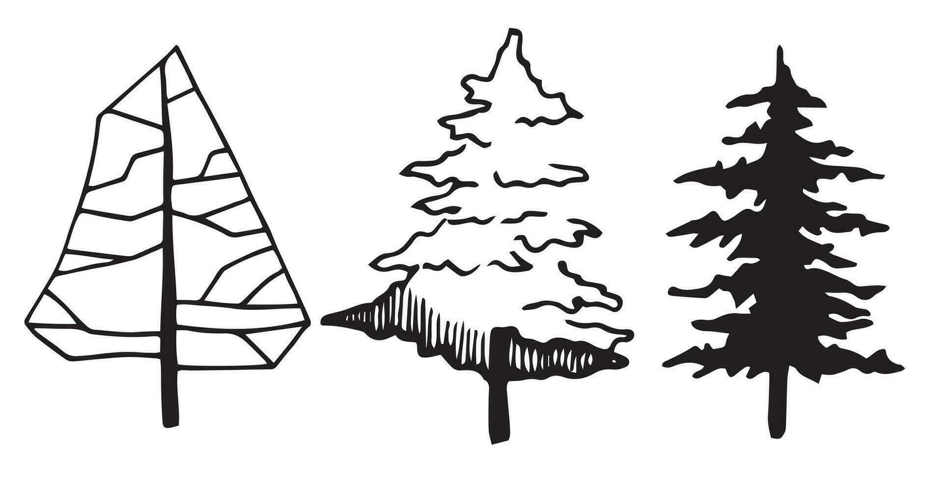 reeks van Kerstmis bomen, Spar, hand- tekening, frontaal visie. bouwkundig inkt tekening, vector. vector