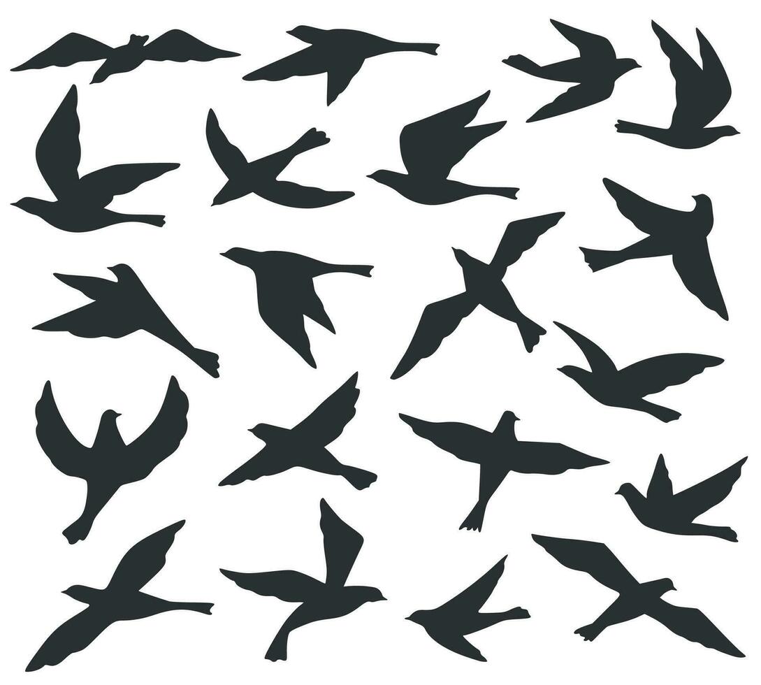 vogel silhouetten. vliegend vogelstand kudde, dier dieren in het wild migratie, duiven zweven in lucht. zwart tatoeëren Sjablonen vector reeks