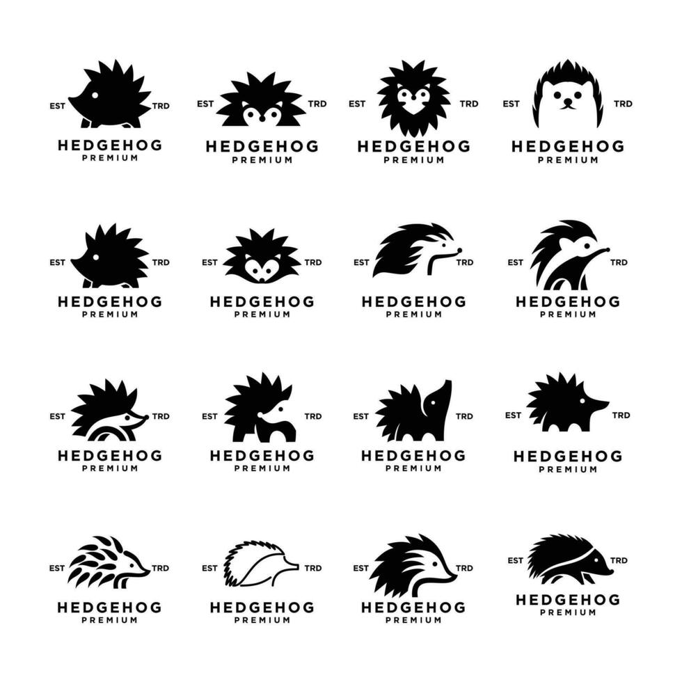 egel logo icoon ontwerp illustratie vector