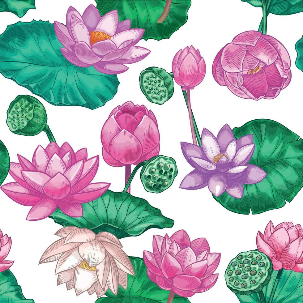 roze lotus naadloos patroon. teder water lelie bloemen, roze lotus. decoratief tropisch ontwerp voor ayurveda zorg producten vector structuur