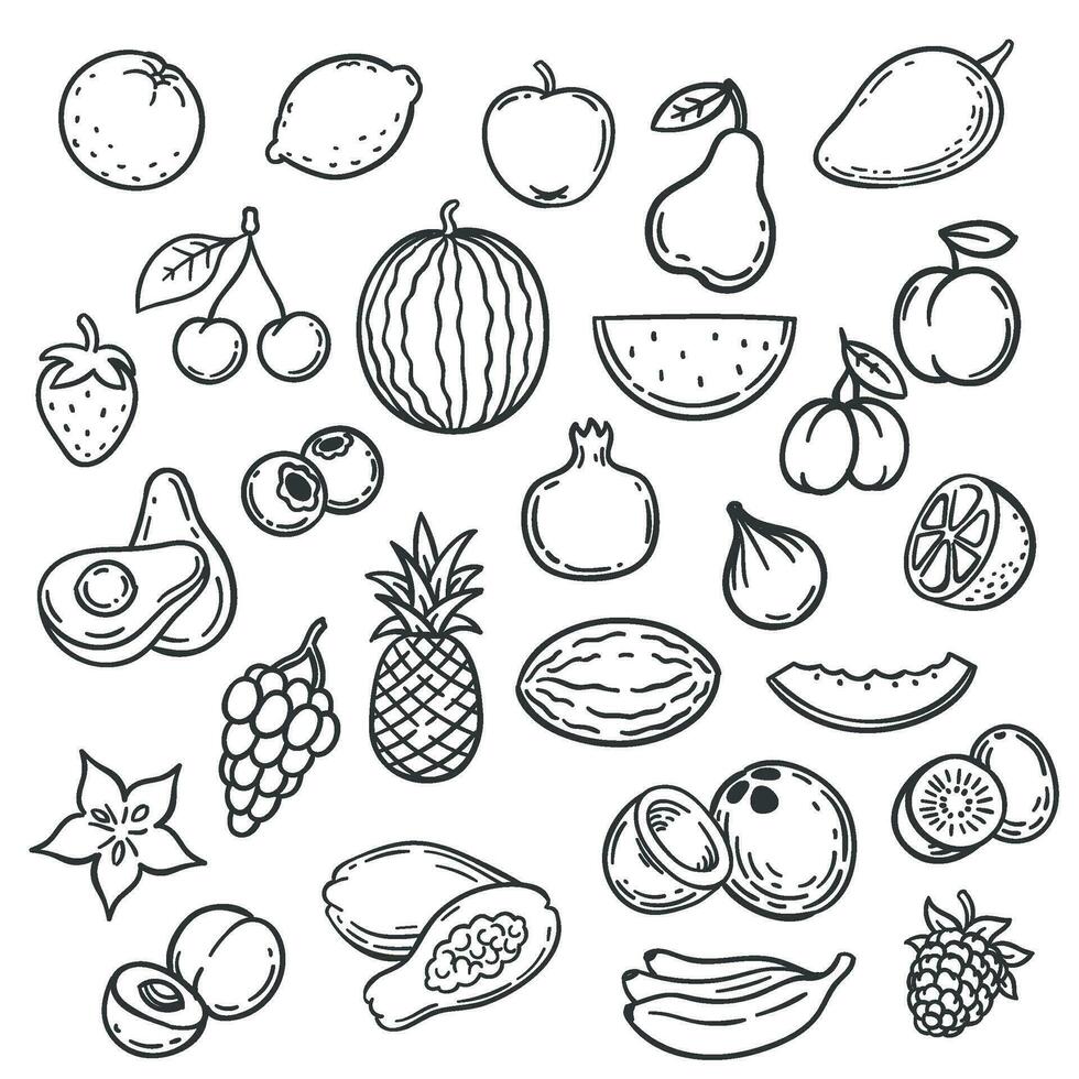 tekening vruchten. hand- getrokken schets BES abrikoos, banaan en Peer, kers. appel, aardbei en druif vector