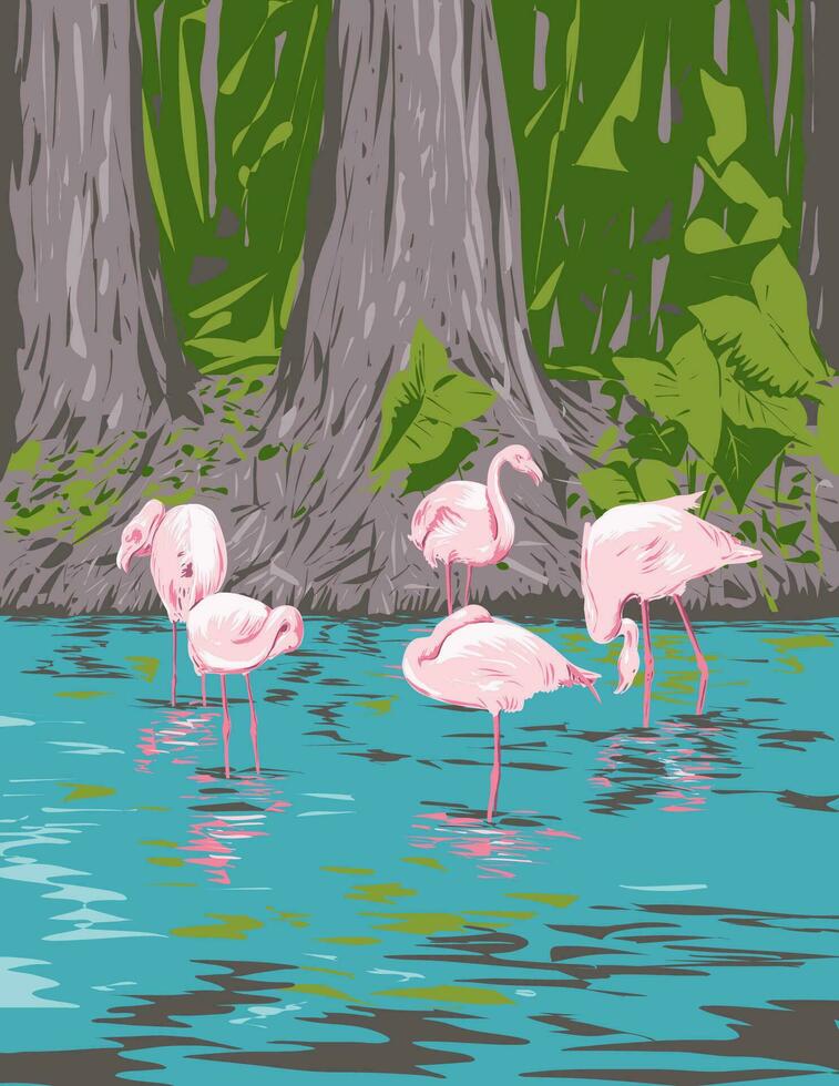 flamingo in Everglades nationaal park in Florida Verenigde Staten van Amerika wpa kunst poster vector