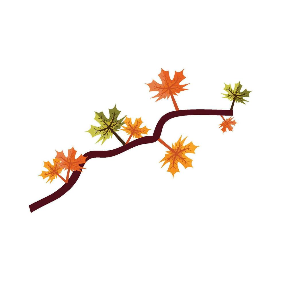 esdoorn- herfst decoratie vector