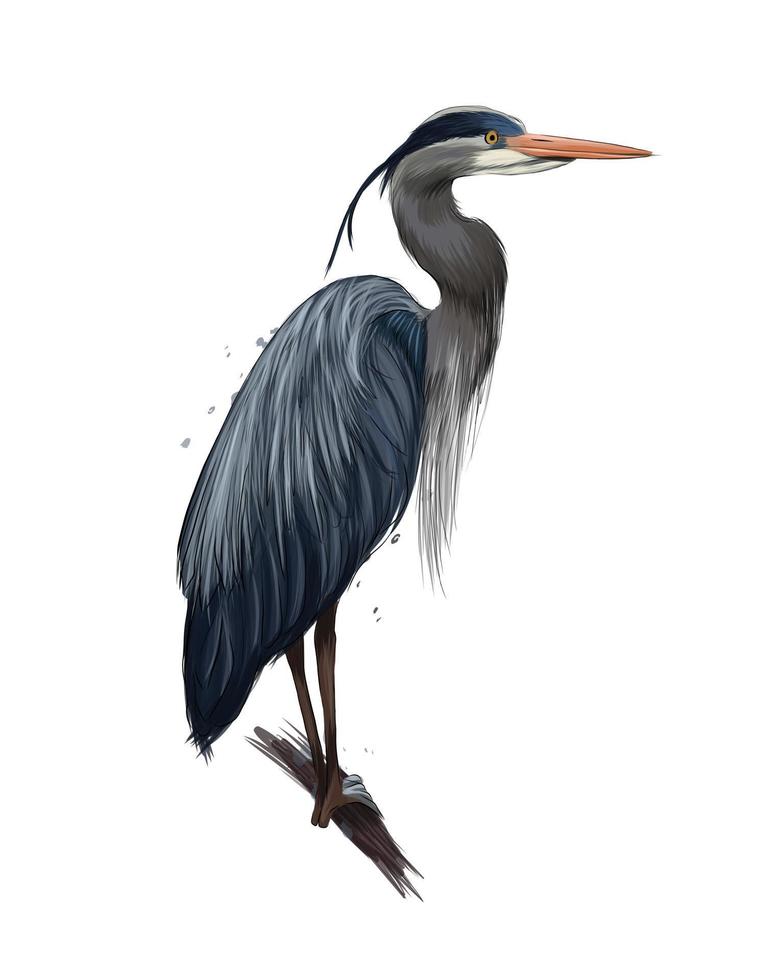 Egyptische reiger, grote blauwe reiger van veelkleurige verven. scheutje aquarel, gekleurde tekening, realistisch. vectorillustratie van verf vector