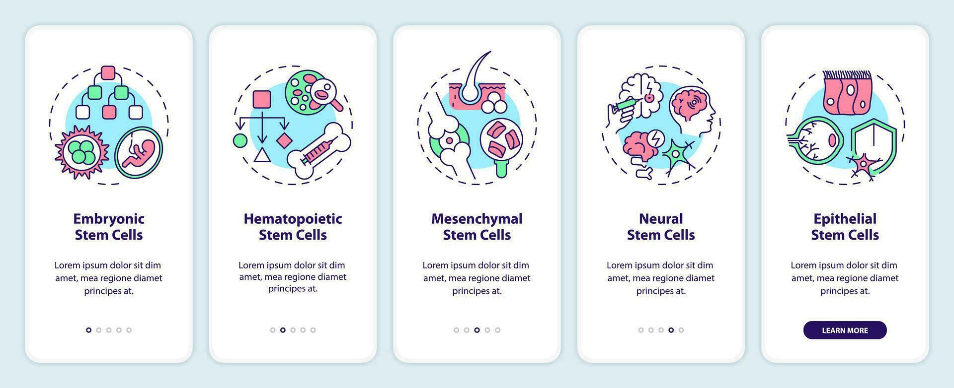 2d pictogrammen vertegenwoordigen types van stam cel mobiel app scherm set. walkthrough 5 stappen veelkleurig grafisch instructies met lineair pictogrammen concept, ui, ux, gui sjabloon. vector