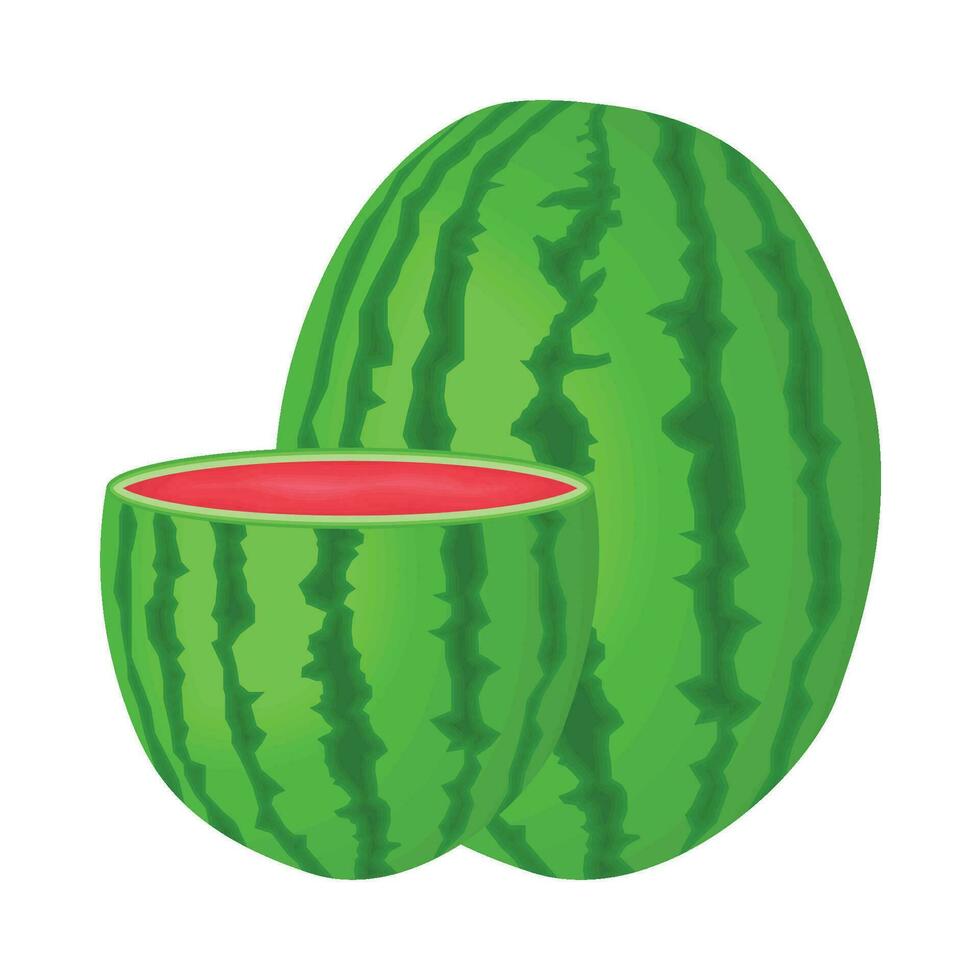 illustratie van watermeloen vector