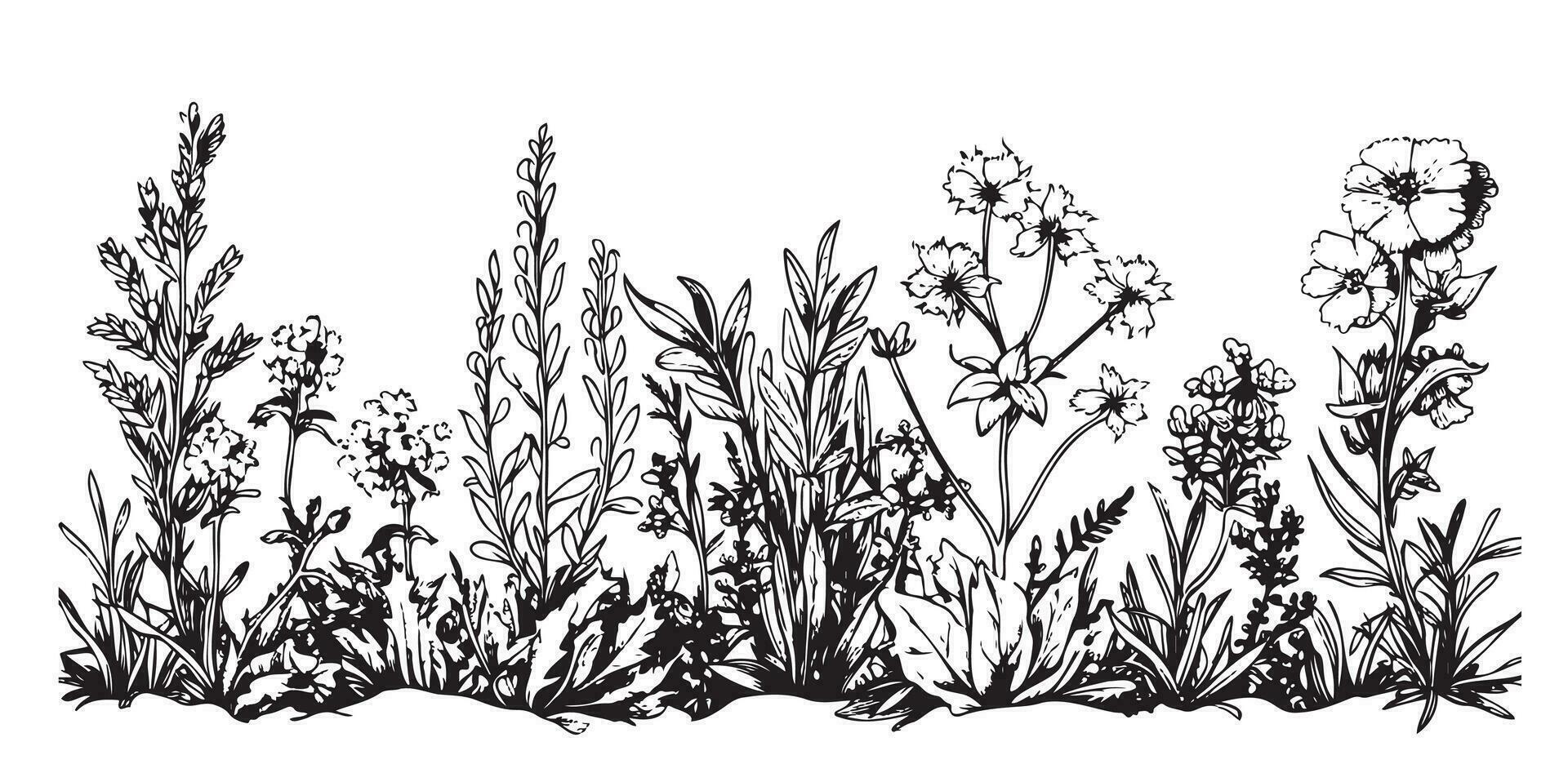 wild bloem veld- grens vector