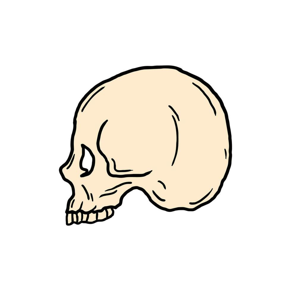 schedel vector illustratie sjabloon ontwerp