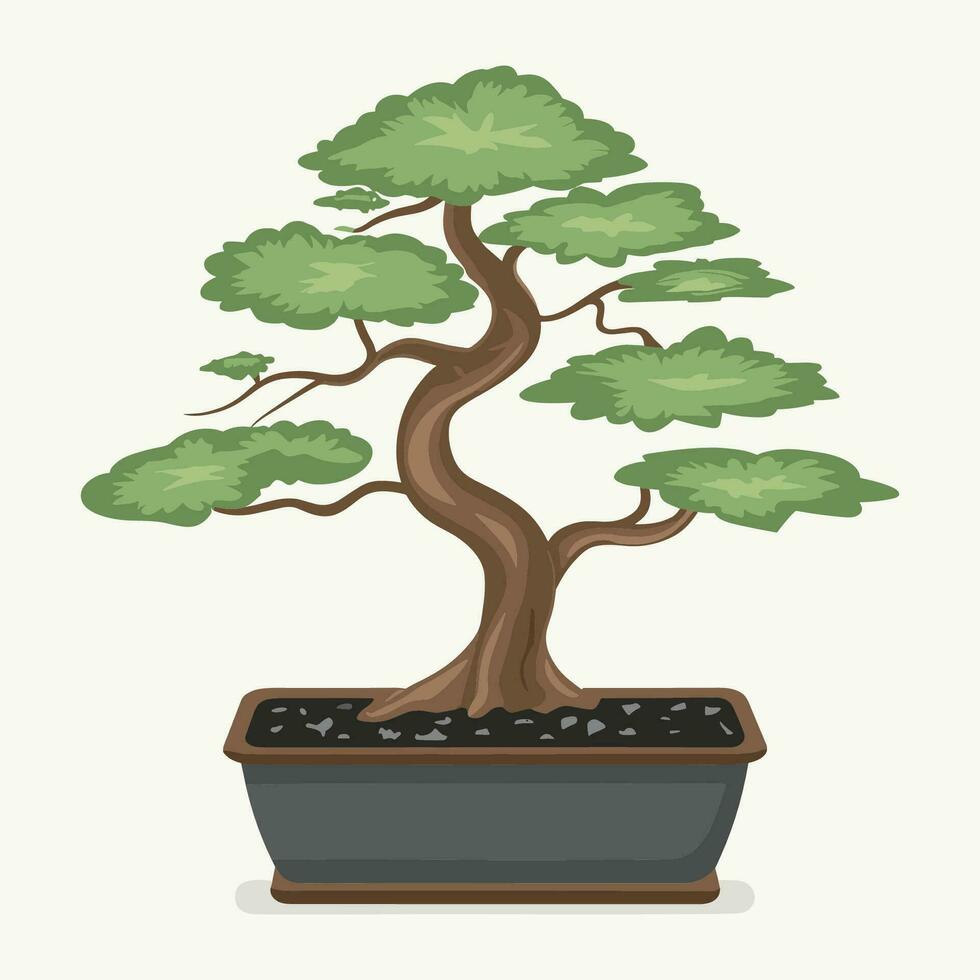 bonsai boom in een pot Aan een wit achtergrond vector