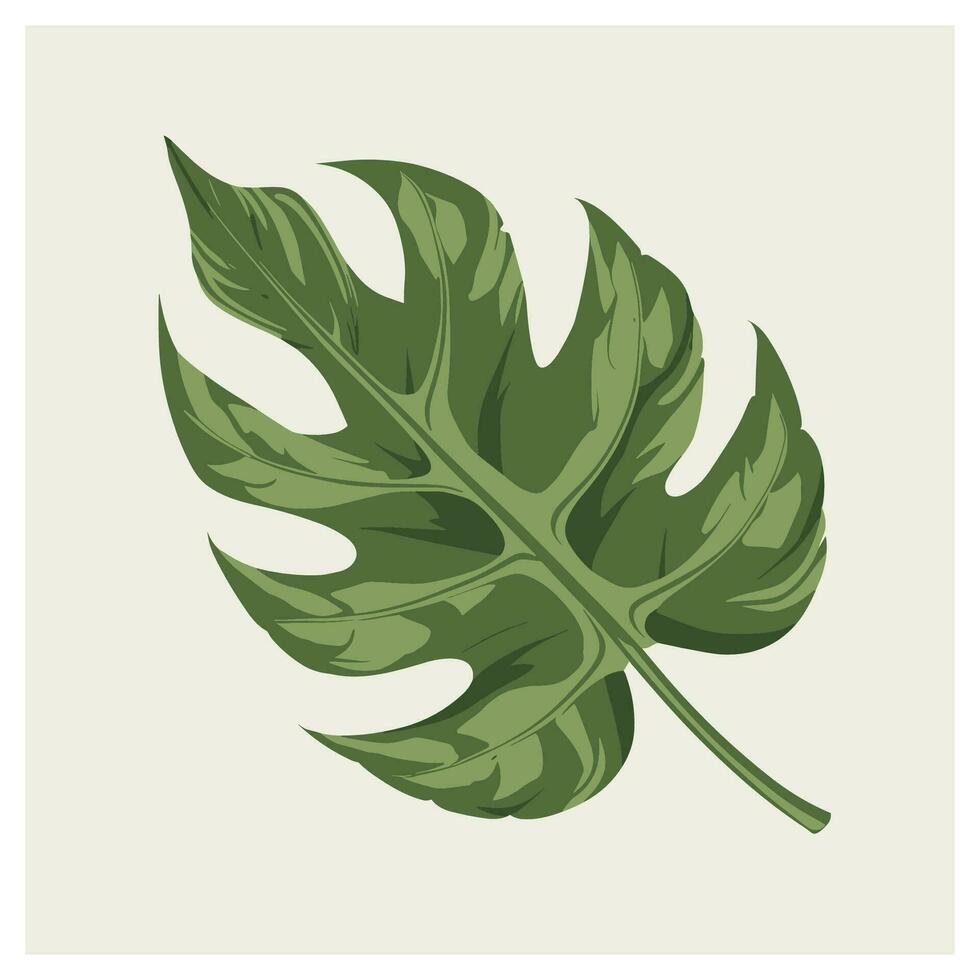 monstera groen blad tropisch oerwoud fabriek geïsoleerd Aan wit achtergrond vector