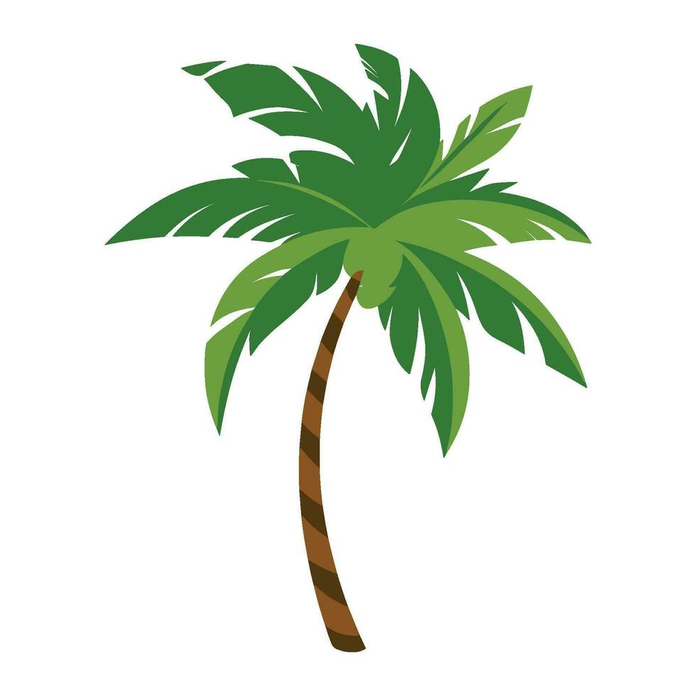 palm boom vector illustratie geïsoleerd Aan wit achtergrond