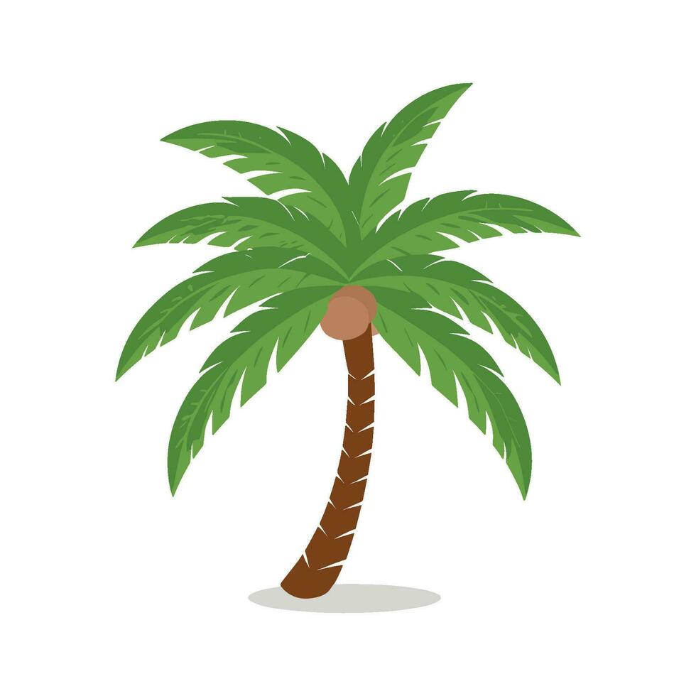 palm boom vector illustratie geïsoleerd Aan wit achtergrond