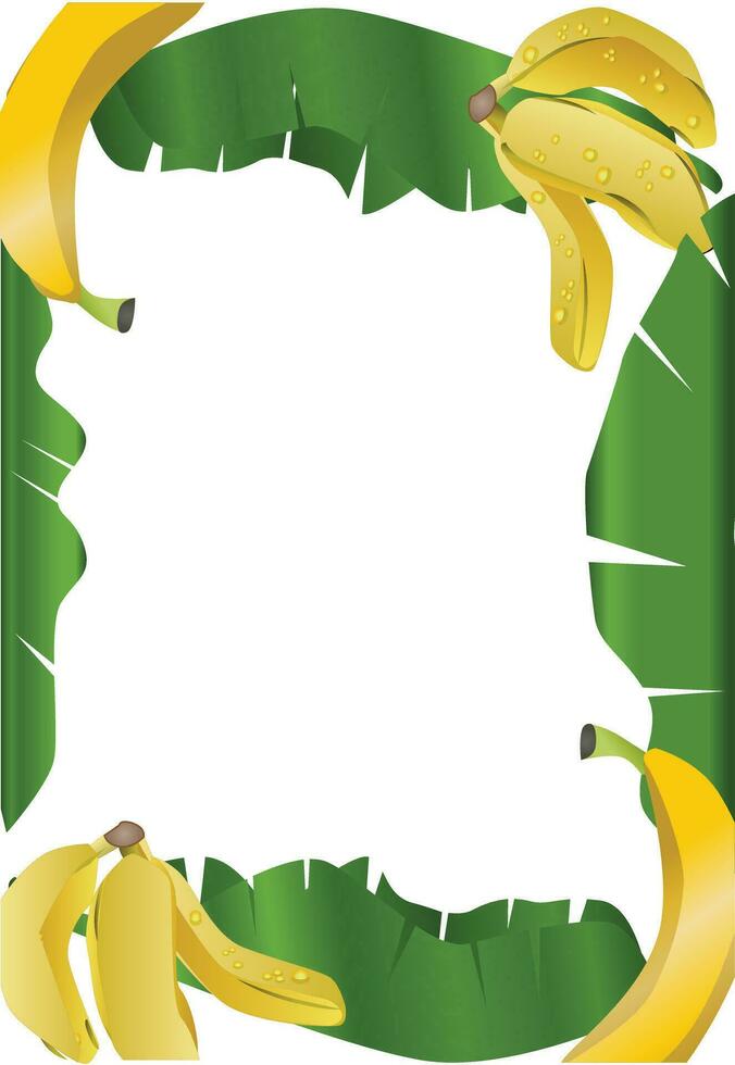 banaan en bladeren grens vector