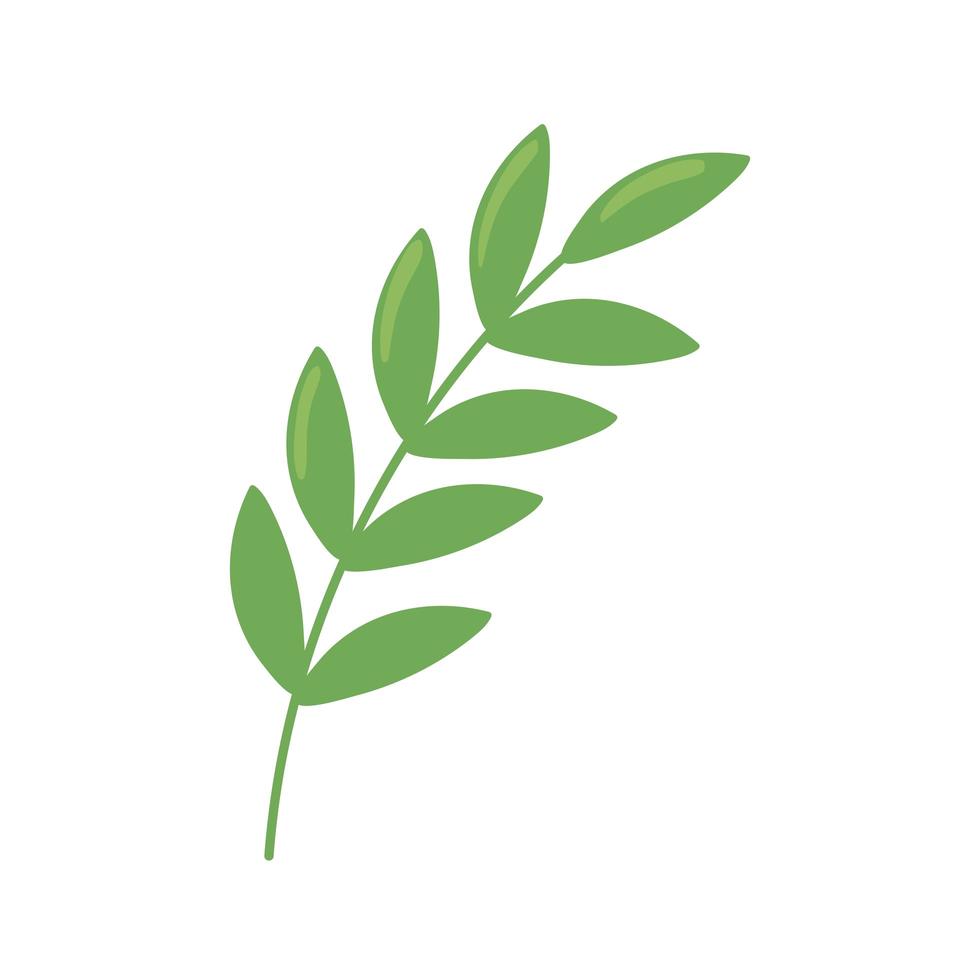 blad plant natuur vector