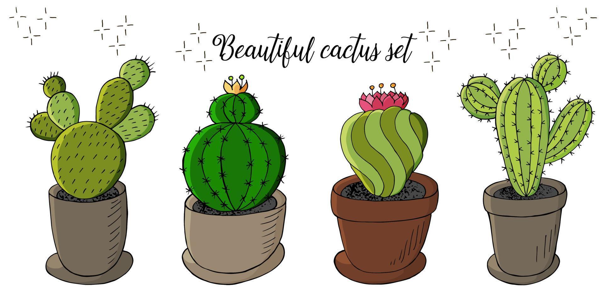 schattige vectorillustratie. cactussen, aloë, vetplanten. decoratieve natuurlijke elementen vector
