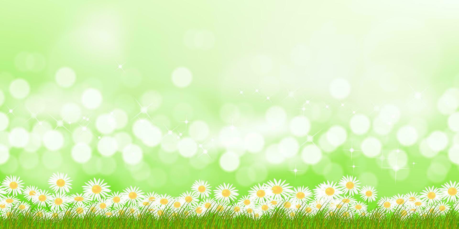 voorjaar achtergrond weide landschap, wit madeliefje bloemen Aan wazig bokeh ochtend- zonlicht Aan groen kleur.vector zomer veld- met onscherp bokeh helder licht Aan met wilde bloemen grens voor Pasen banier vector