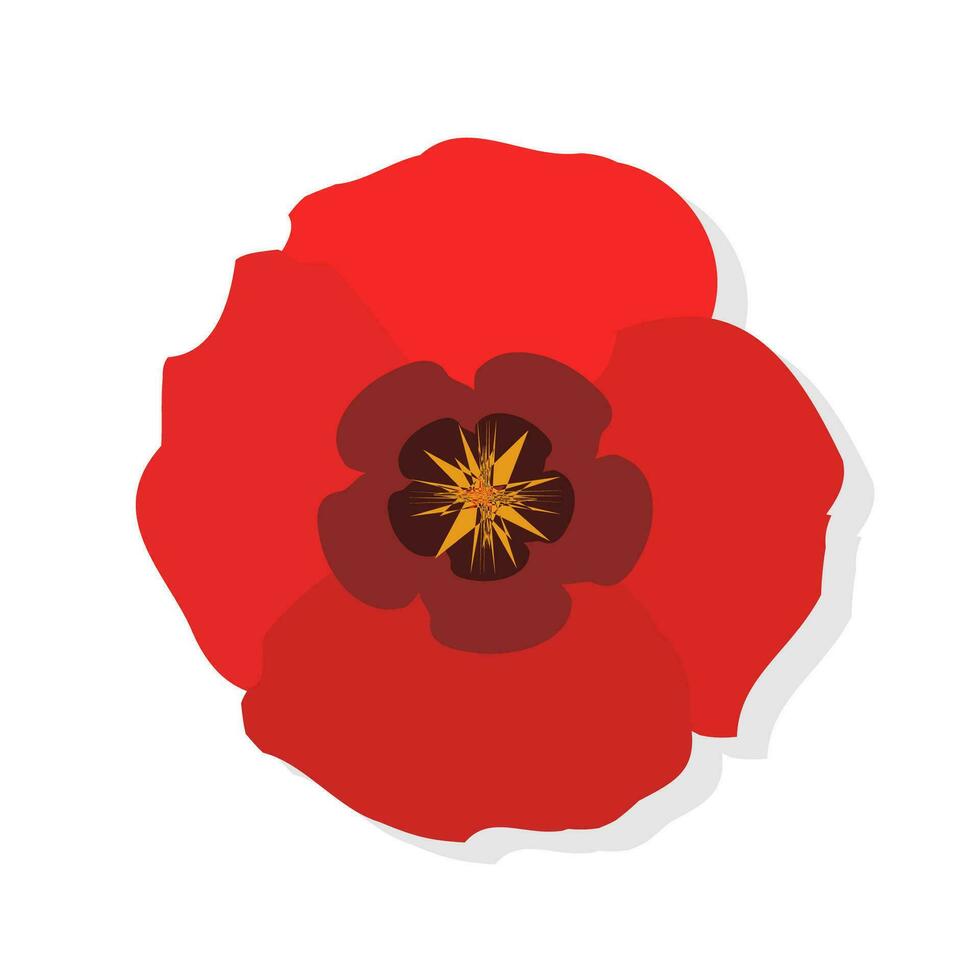 papaver bloem vlak icoon. rood klaprozen Aan wit achtergrond. vector illustratie