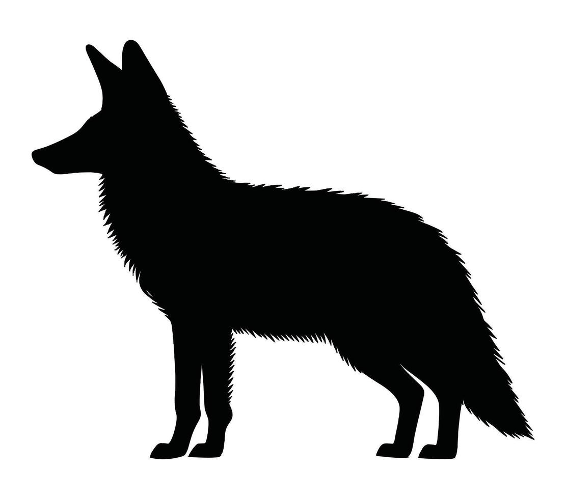 vector, geïsoleerd silhouet van aardwolf. vector