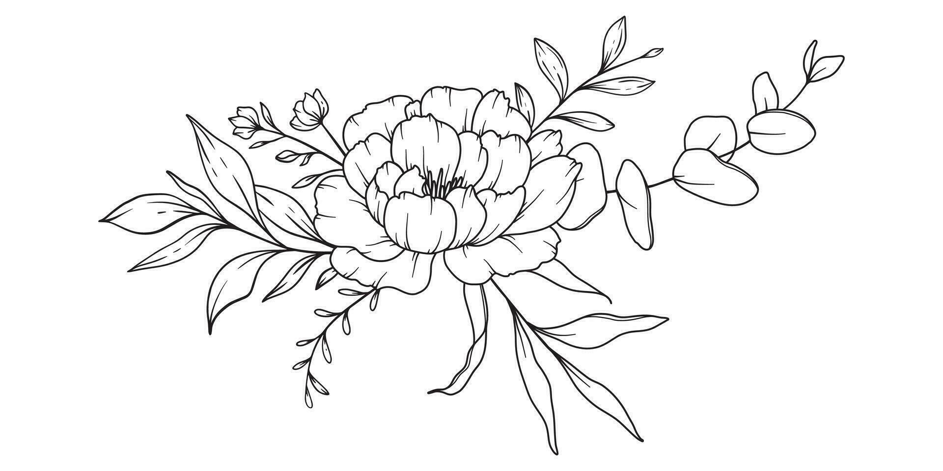 pioen lijn tekening. zwart en wit bloemen boeketten. bloem kleur bladzijde. bloemen lijn kunst. prima lijn pioen illustratie. hand- getrokken bloemen. botanisch kleuren. bruiloft uitnodiging bloemen vector