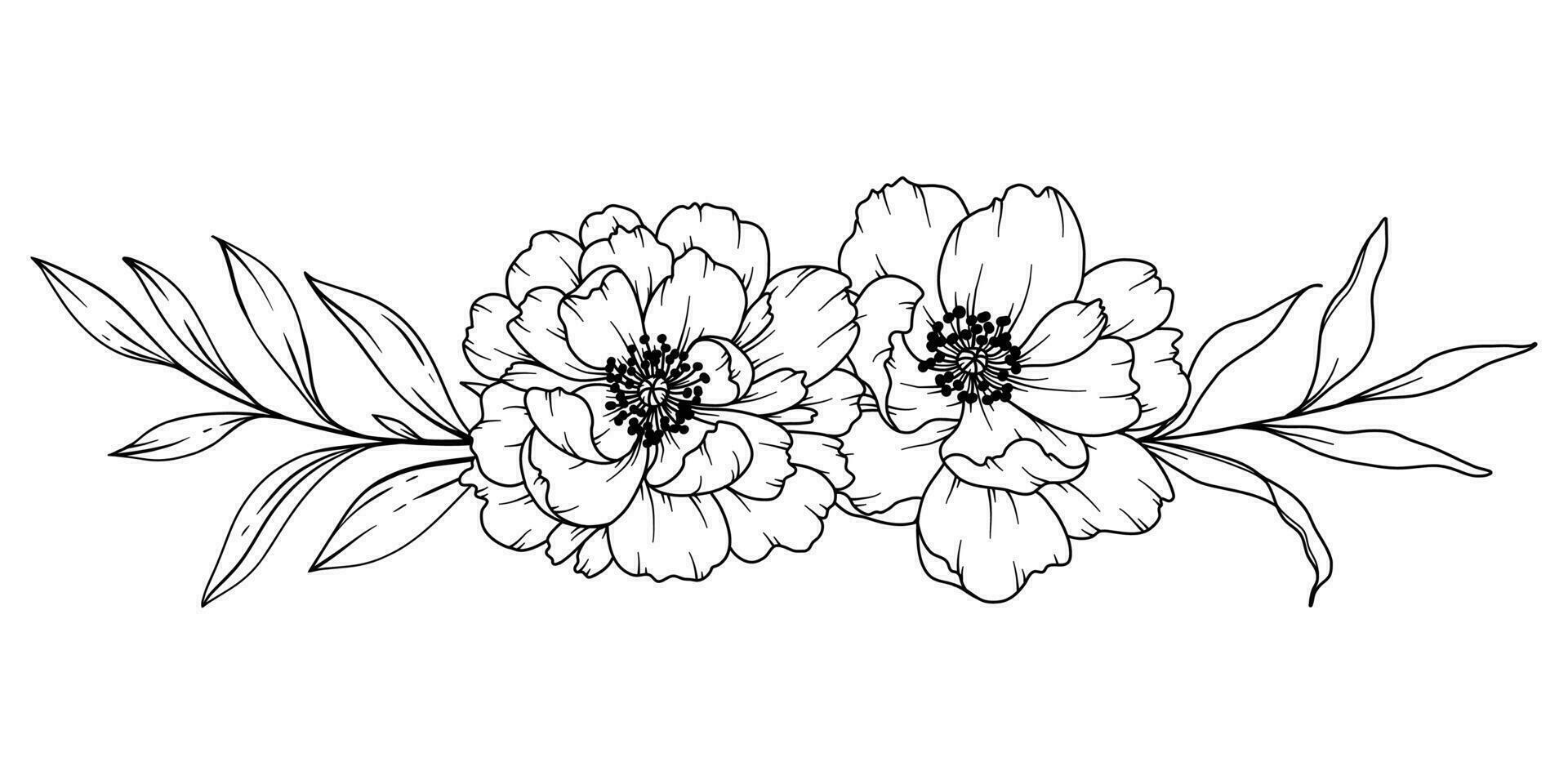 pioen lijn tekening. zwart en wit bloemen boeketten. bloem kleur bladzijde. bloemen lijn kunst. prima lijn pioen illustratie. hand- getrokken bloemen. botanisch kleuren. bruiloft uitnodiging bloemen vector