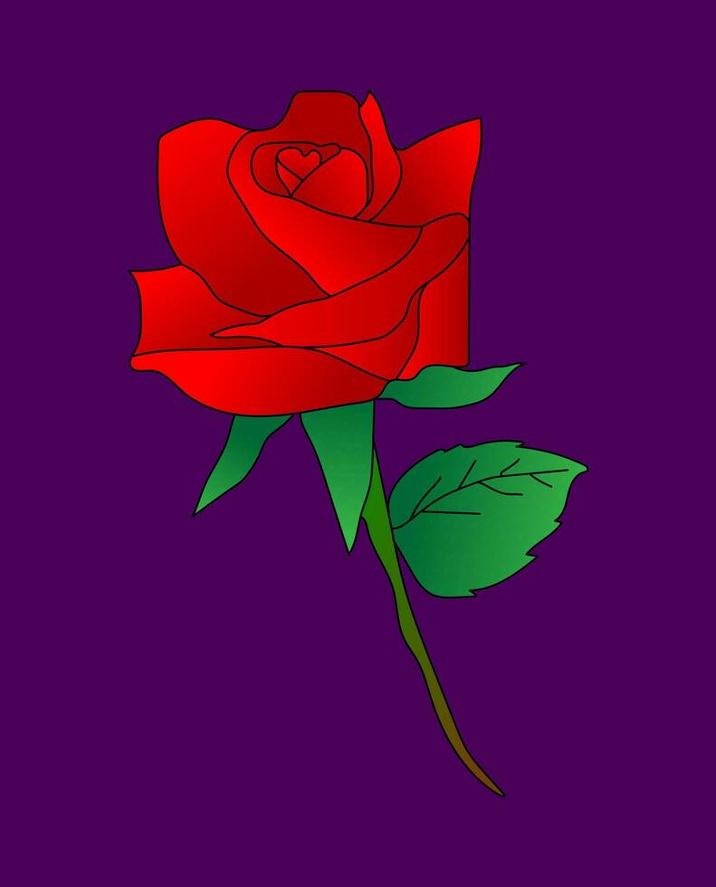 rood roos geïsoleerd Aan donker Purper achtergrond vector