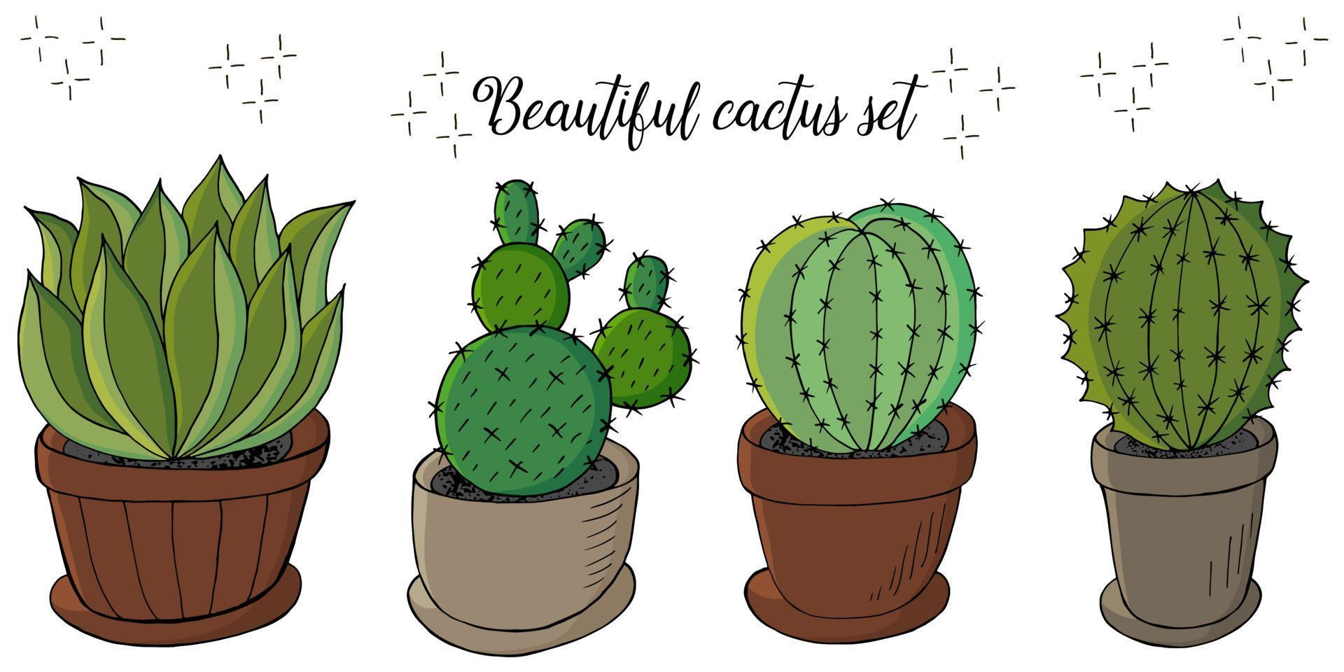 schattige vectorillustratie. cactussen, aloë, vetplanten. decoratieve natuurlijke elementen vector