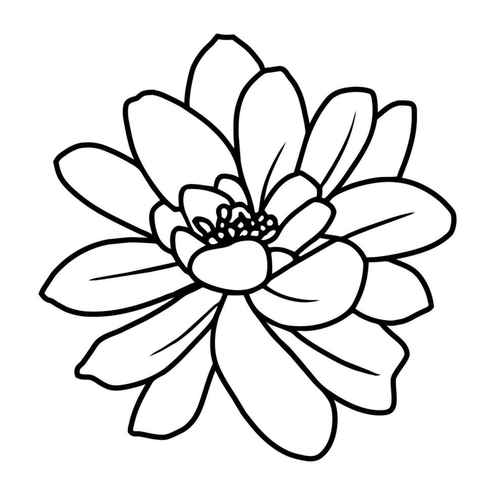 hand- getrokken gemakkelijk bloem illustratie vector