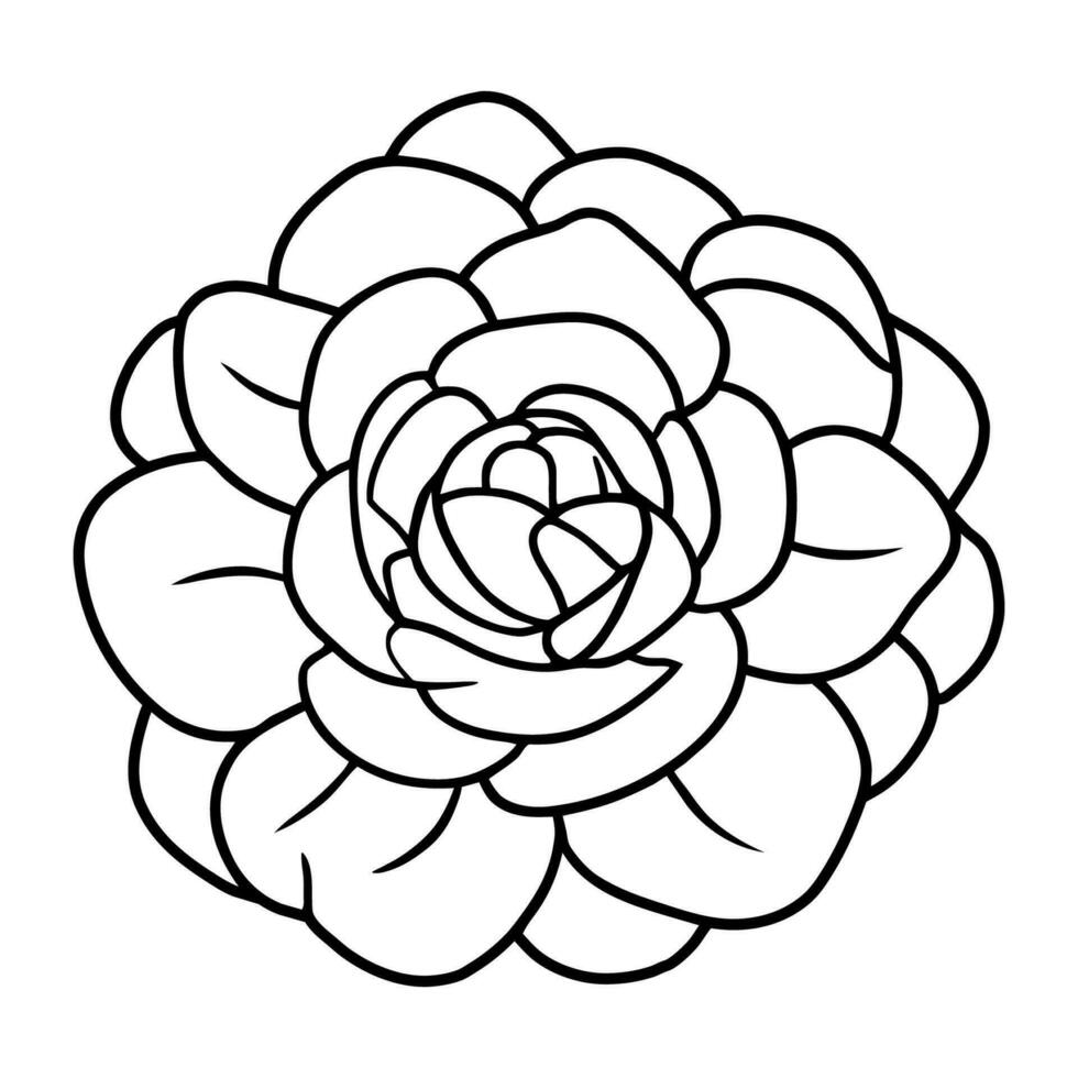 hand- getrokken gemakkelijk bloem illustratie vector