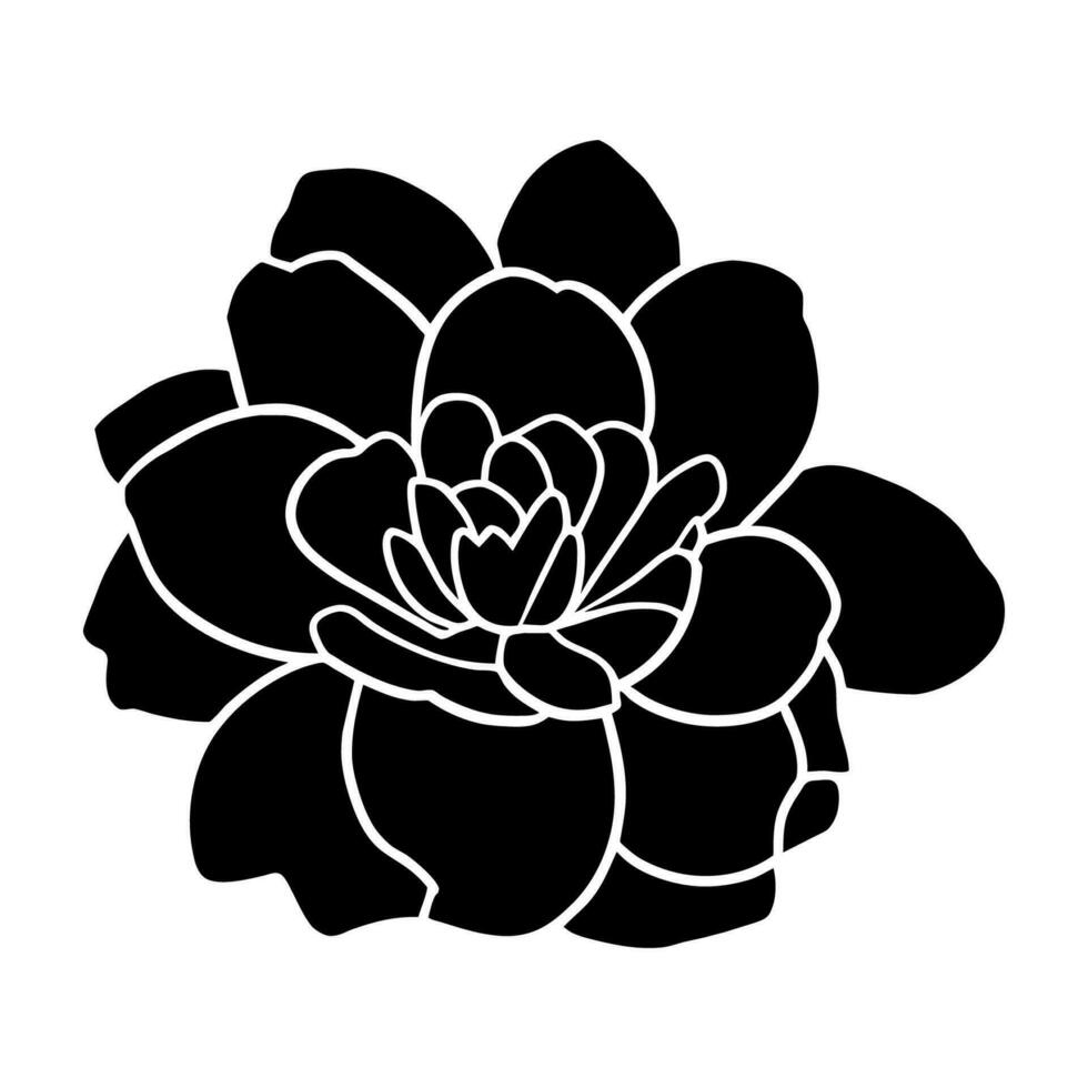 hand- getrokken gemakkelijk bloem illustratie vector