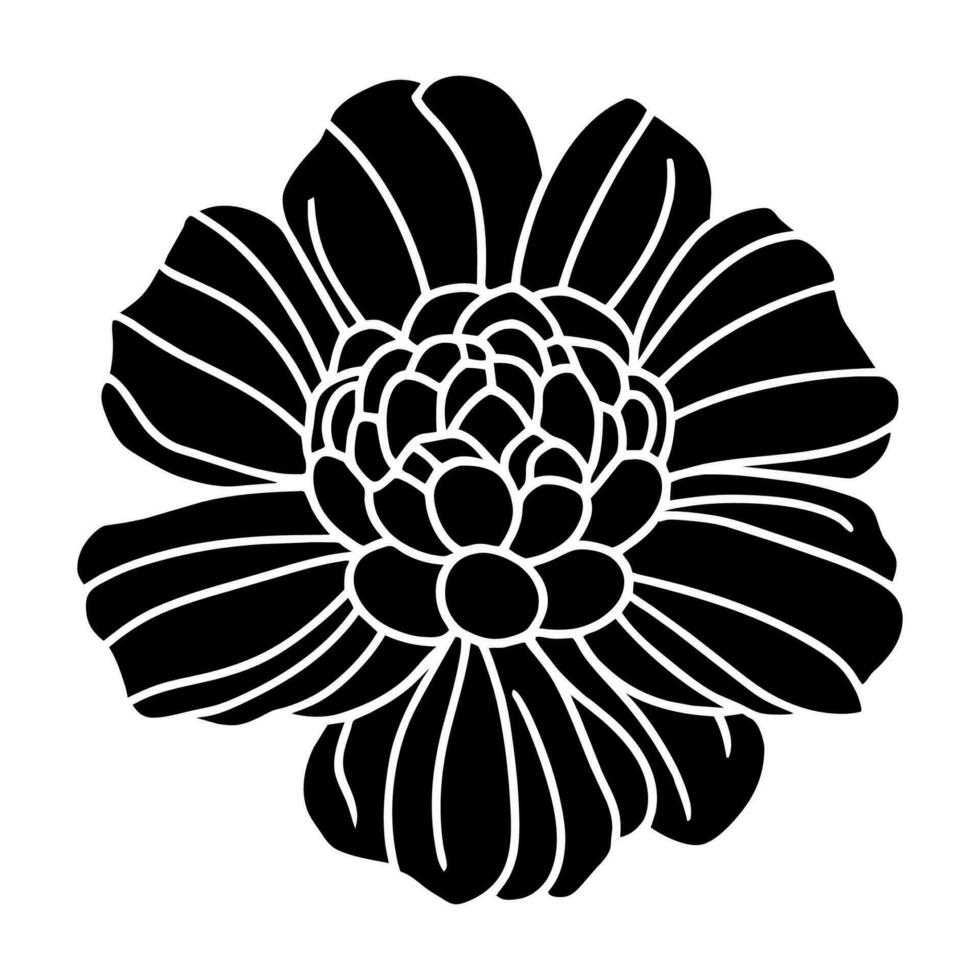 hand- getrokken gemakkelijk bloem illustratie vector