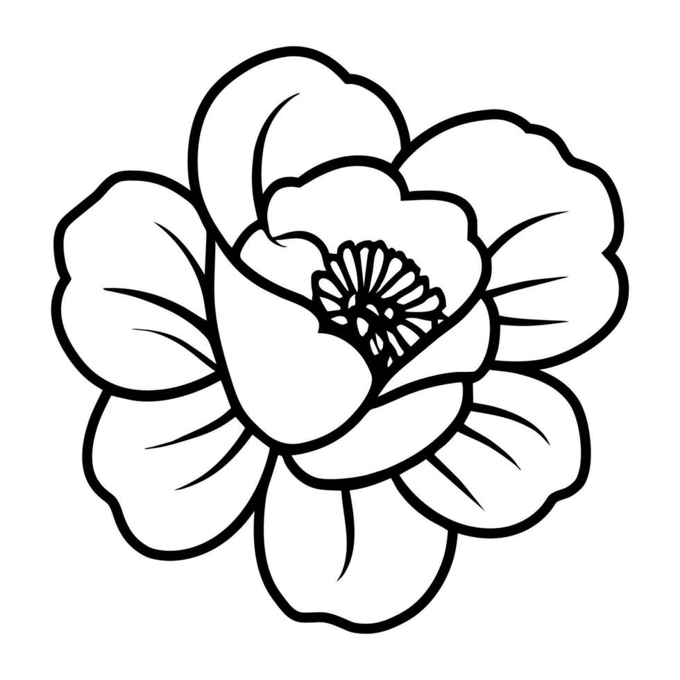 hand- getrokken gemakkelijk bloem illustratie vector