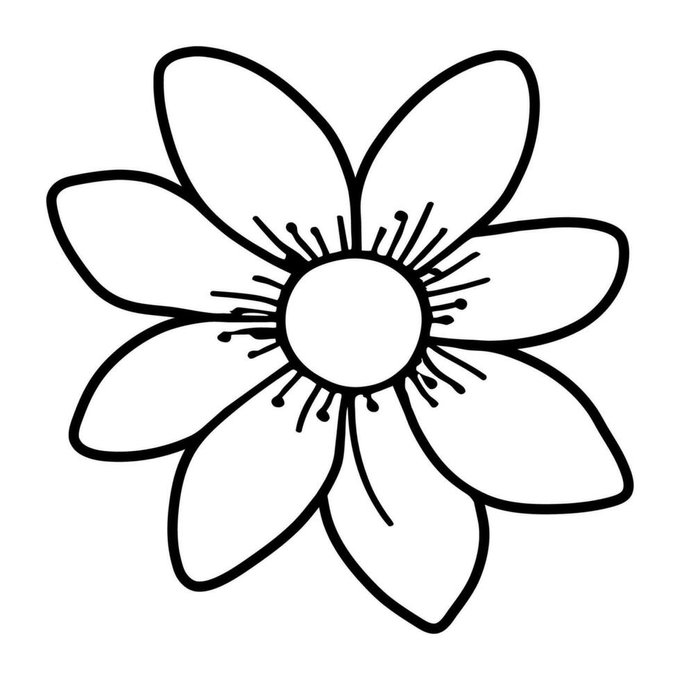 hand- getrokken gemakkelijk bloem illustratie vector