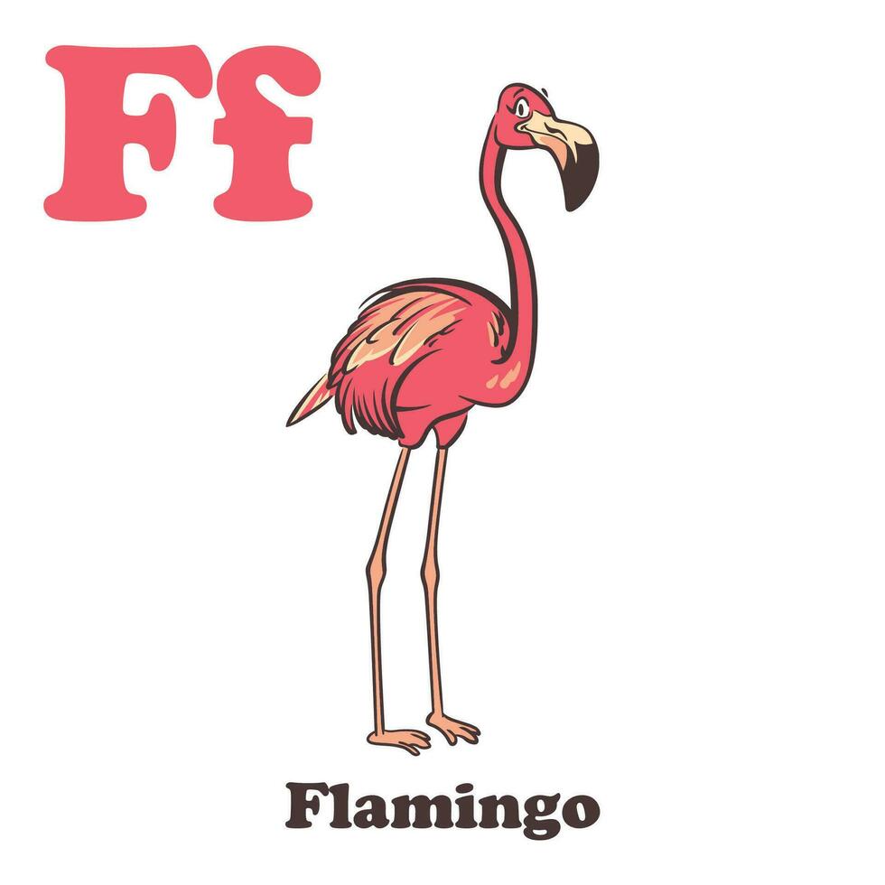 flamingo alfabet tekenfilm karakter voor kinderen vector