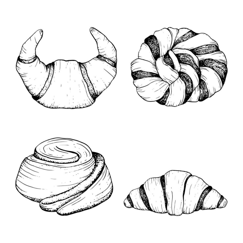 bakkerij vers gebakje, broodjes en croissants vector zwart en wit illustratie reeks met chocola boter croissants, kaneel bun en gevlochten brood voor ontbijt en koffie breken ontwerpen