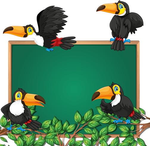 Toucan op schoolbord frame vector