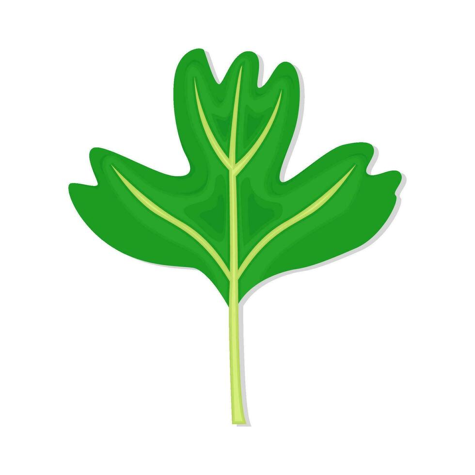 blad groen illustratie vector