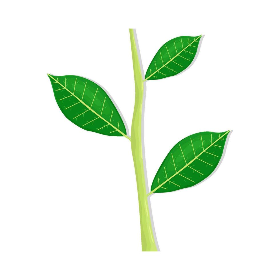 blad groen fabriek illustratie vector