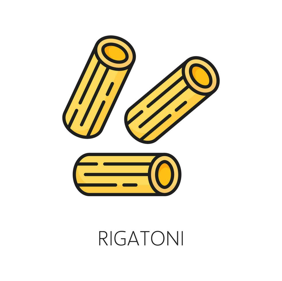 rauw Italiaans rigatoni pasta, Italiaans voedsel vector