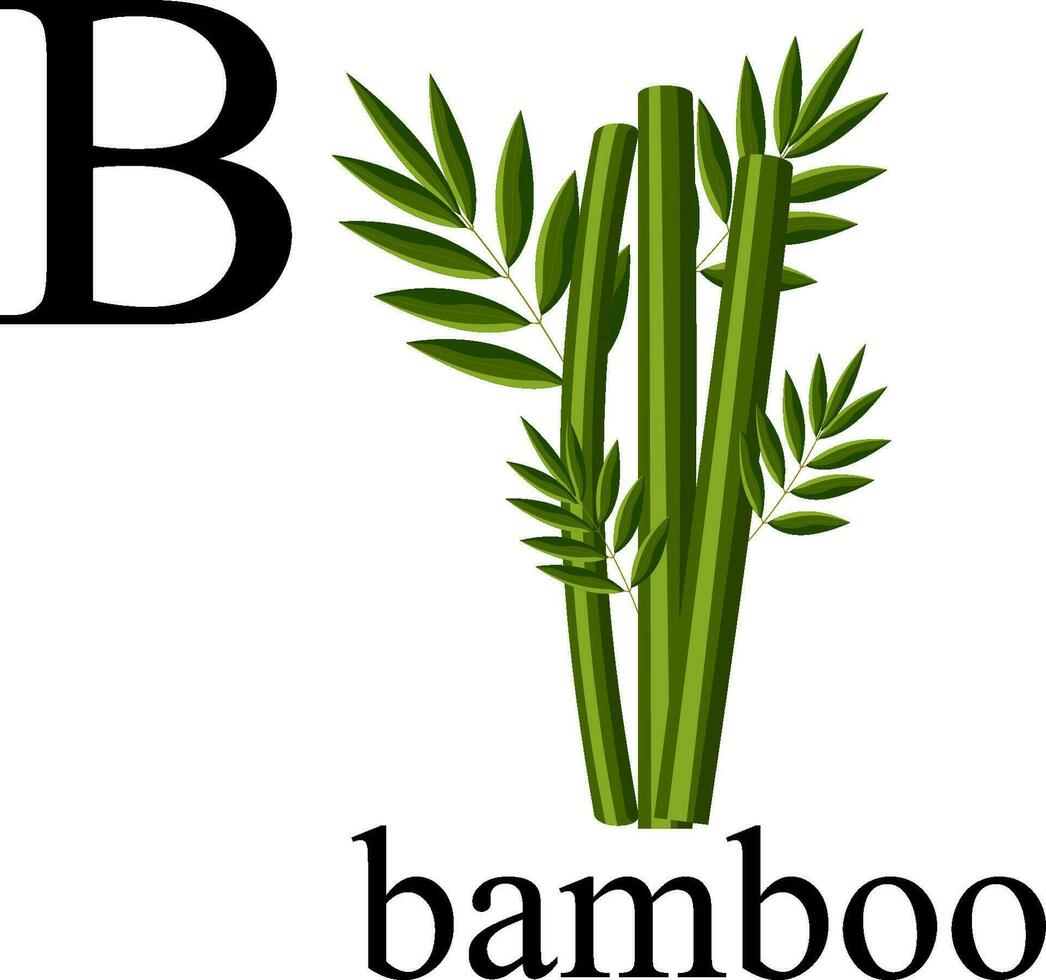 illustratie van de brief b in de fabriek alfabet. bamboe. vector