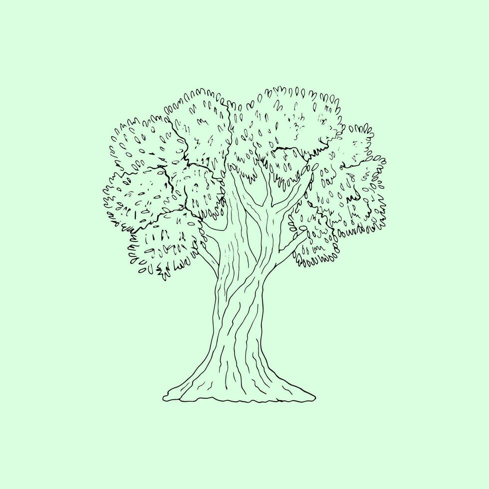 hand getekend olijf- boom vector illustratie, geïsoleerd Aan een groen achtergrond. lijn kunst.