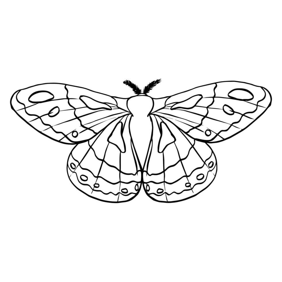 zwart contour lineair silhouet mot geïsoleerd Aan wit achtergrond. vector gemakkelijk vlak grafisch illustratie keizerlijk nacht vlinder. een gemakkelijk lijn hand- tekening insect voor de ontwerp