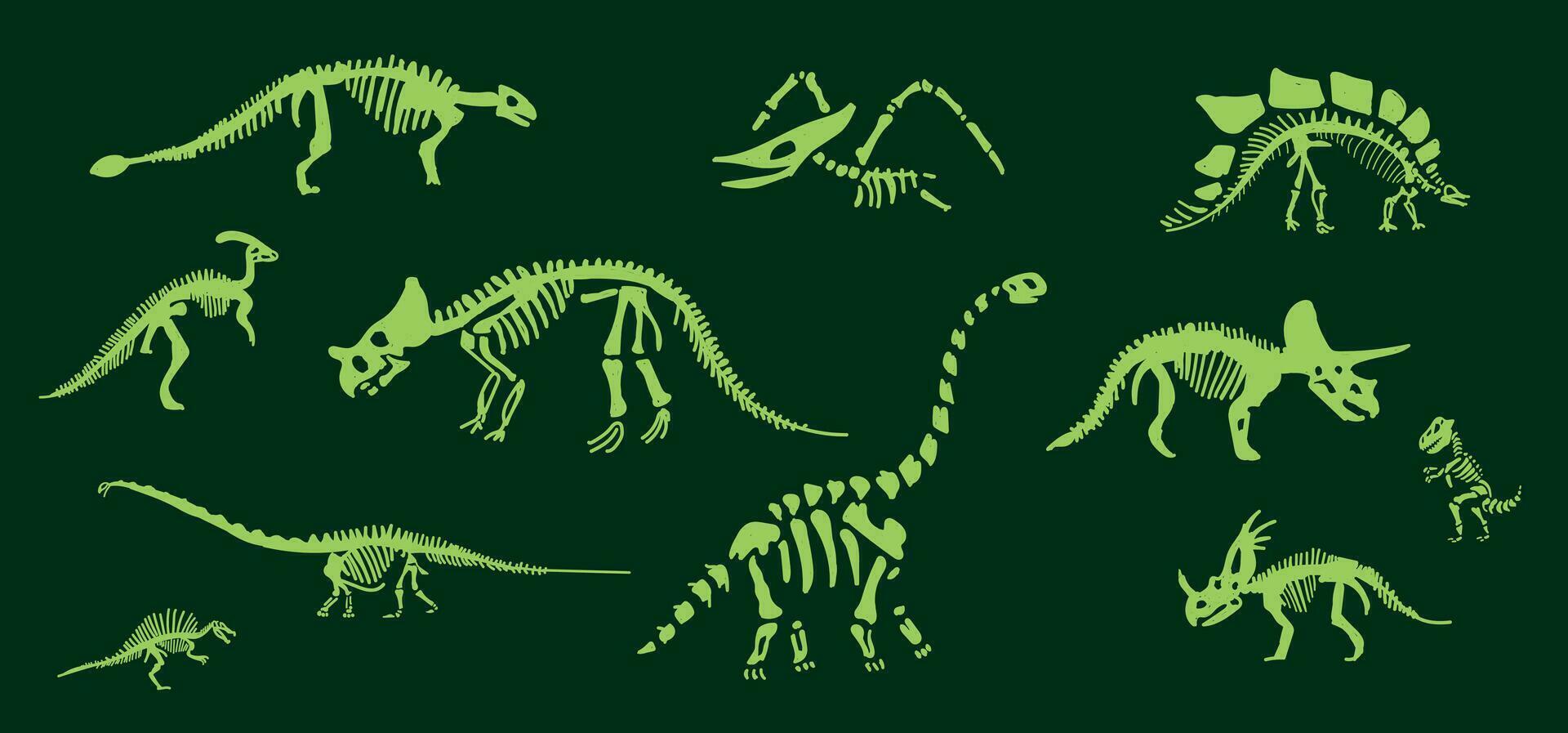 dinosaurus vector. schattig dinosaurus vectoren brullen patroon