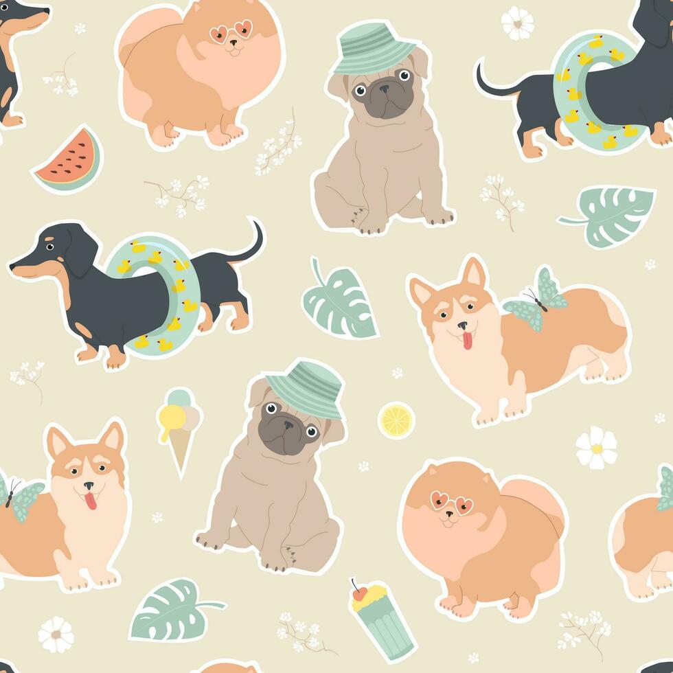 naadloos patroon met honden. zomer grappig illustratie voor kinderen. teckel, pommeren, mopshond en corgi Aan zomer vakantie. voor kleding stof, behang, omhulsel papier. vector